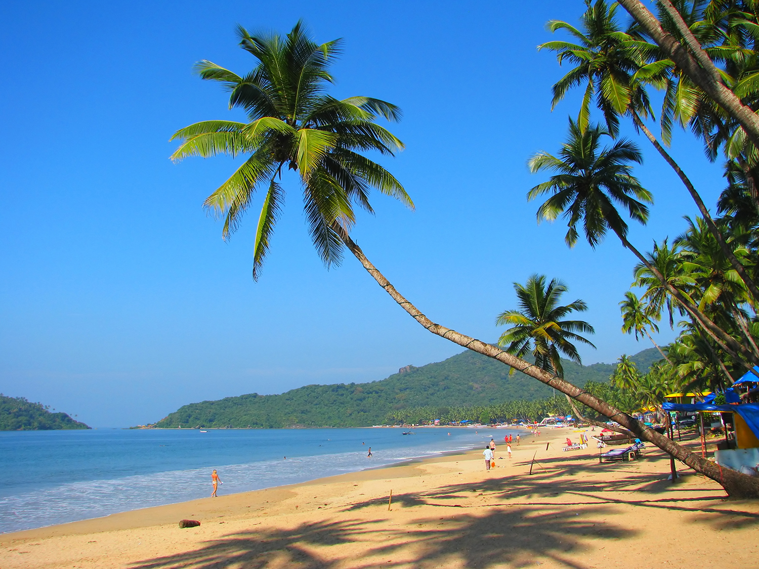Sun-Kissed Goa Beach Retreat