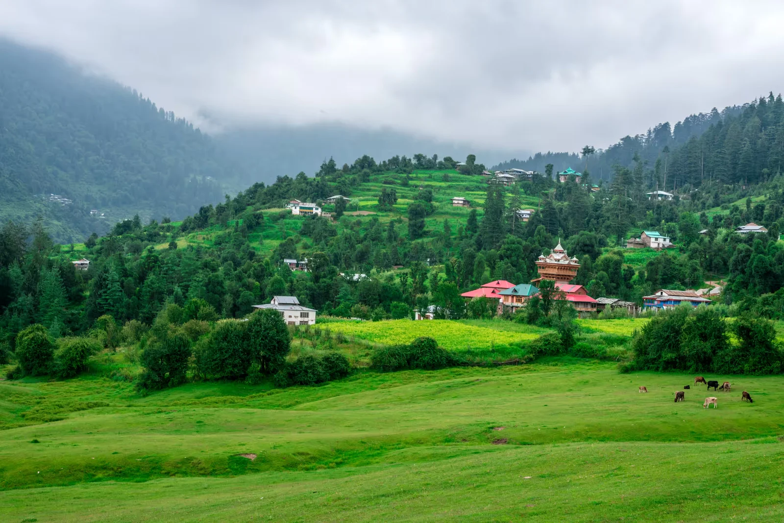 Heaven Himachal Tour Package