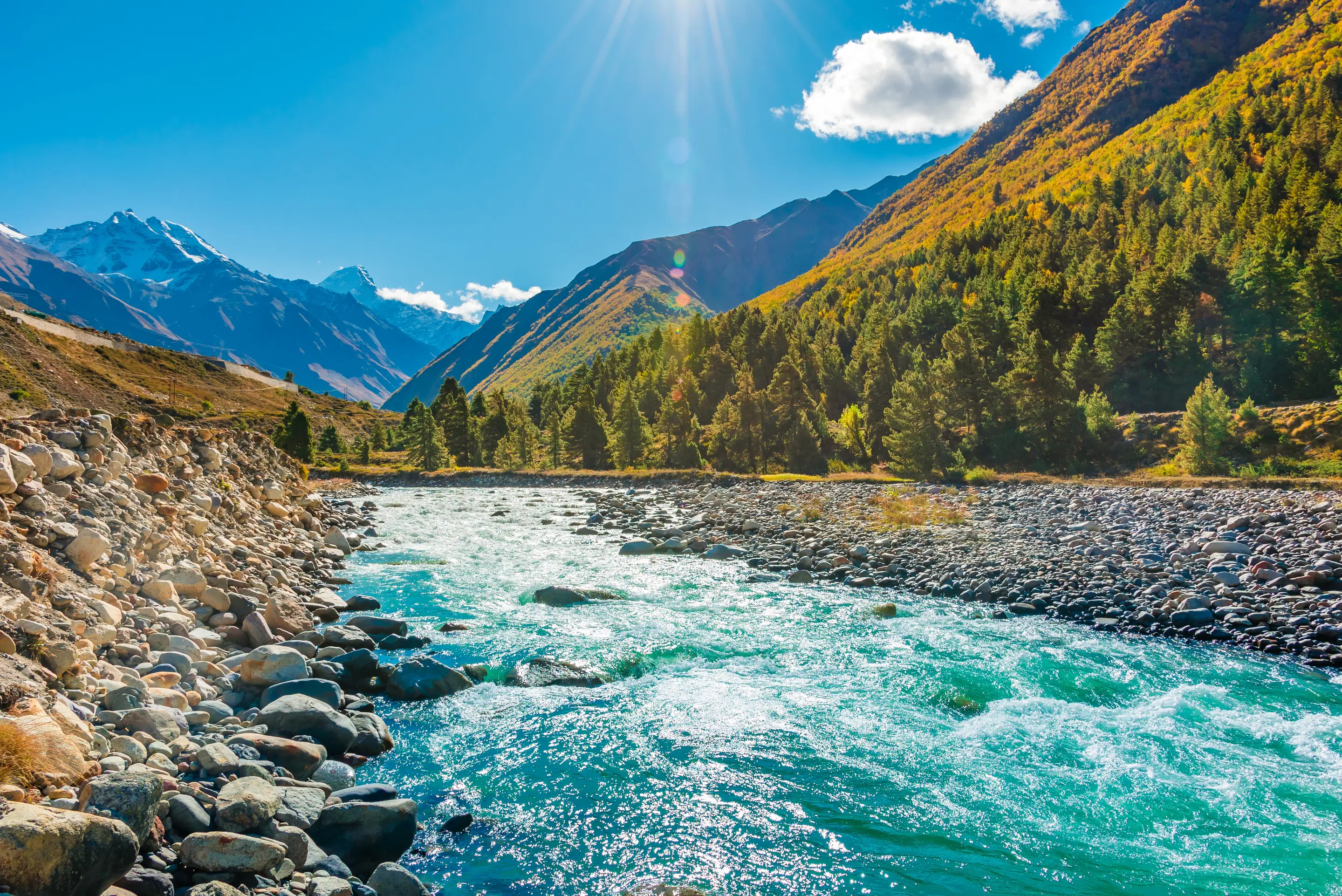 Majestic Himachal & Manali Adventure