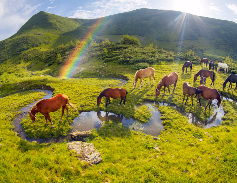 Scenic Kashmir Tour Package