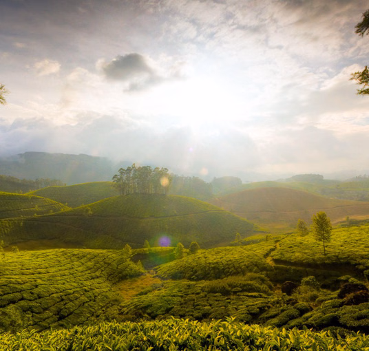 Escape to Kerala with Overnight Kumarakom Houseboat Stay