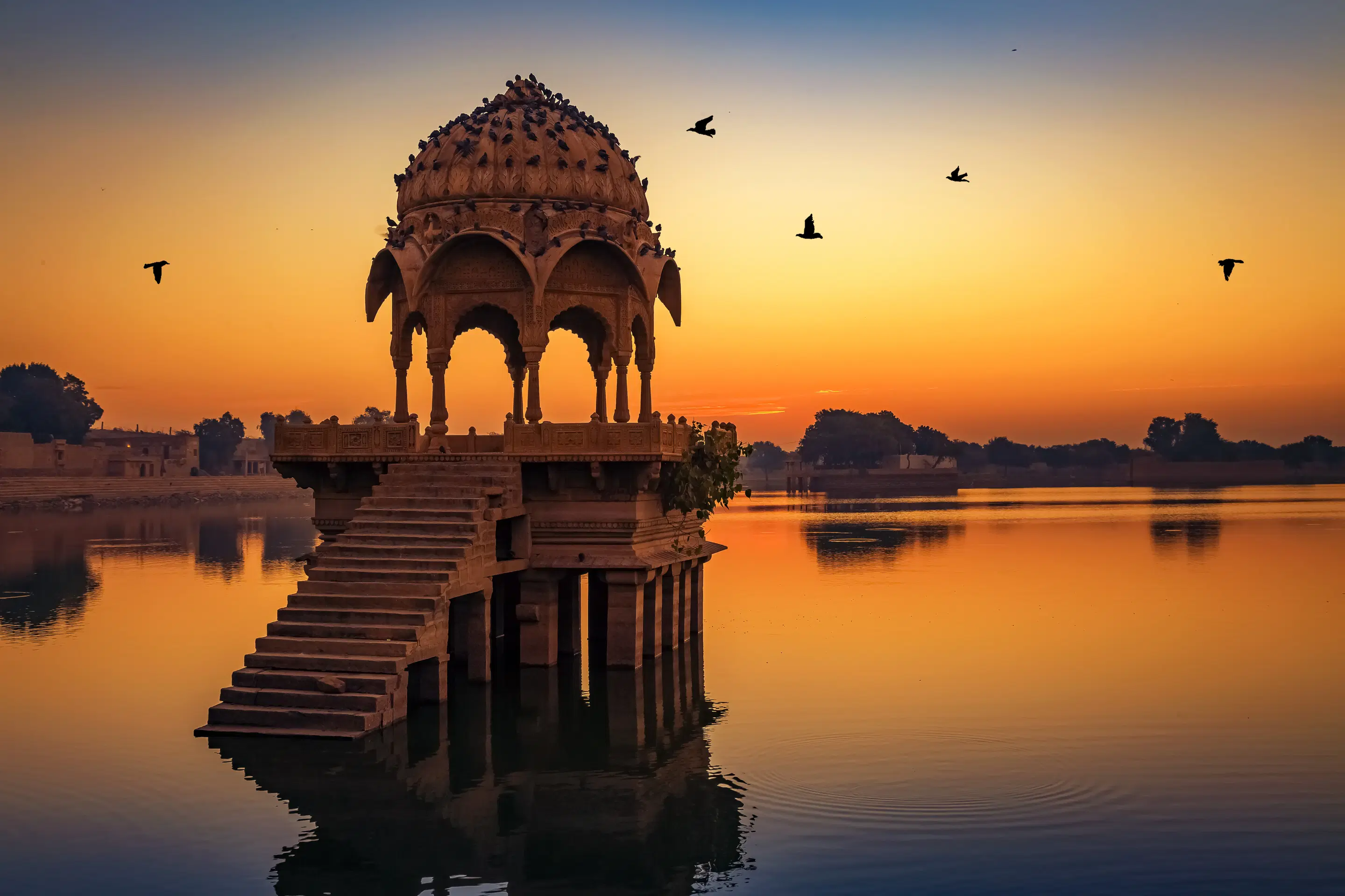 Explore Jaipur & Ranthambore | From Fortresses to Wildlife