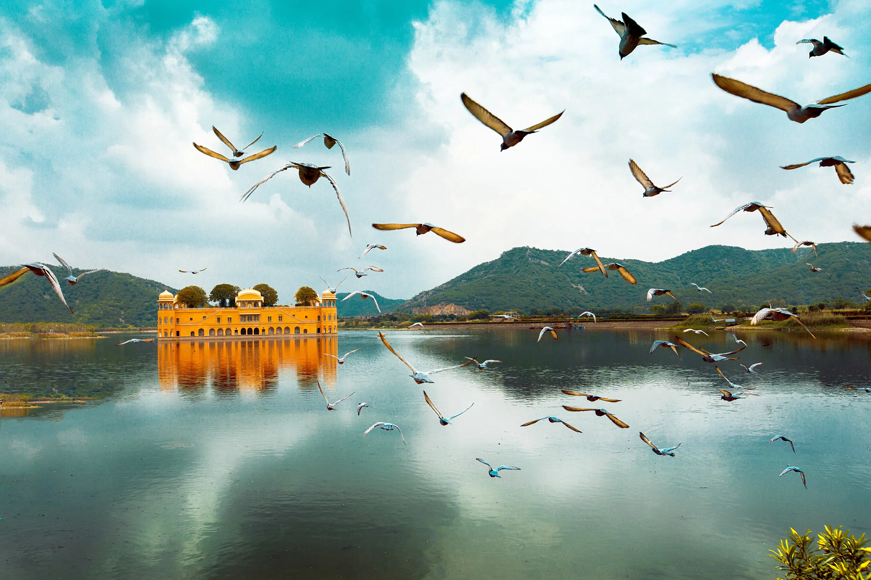 A Divine Journey | FREE Boat Ride in Yamuna River